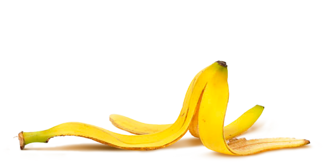 the famous banana peel